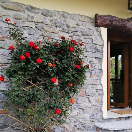 Cottage Rose Bellagio Zewnętrze zdjęcie